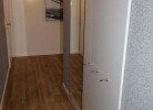 Rotbuche 3