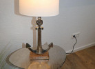 Rotbuche 3